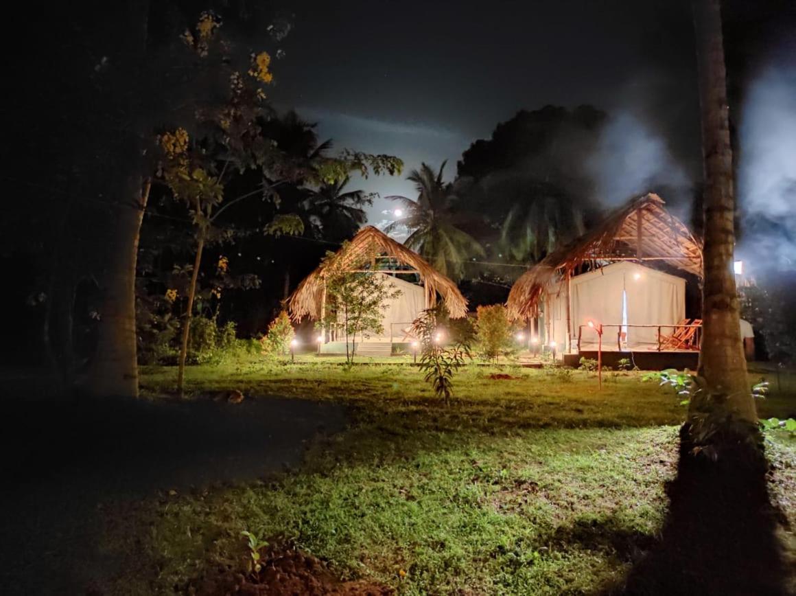 Jungle View River Camping اوداوالاوي المظهر الخارجي الصورة