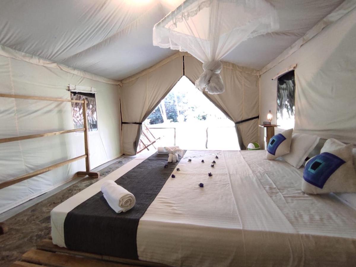 Jungle View River Camping اوداوالاوي المظهر الخارجي الصورة