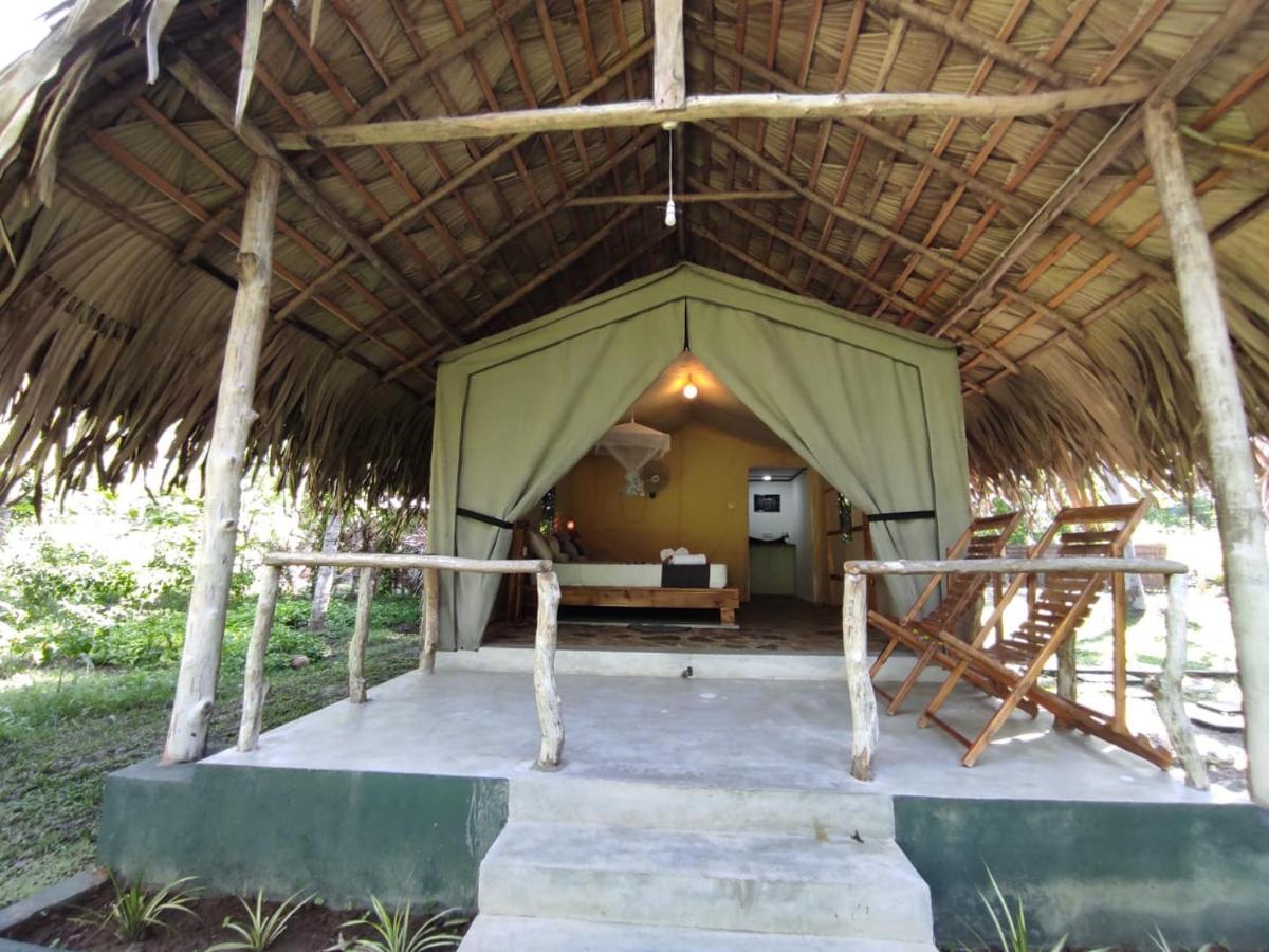 Jungle View River Camping اوداوالاوي المظهر الخارجي الصورة