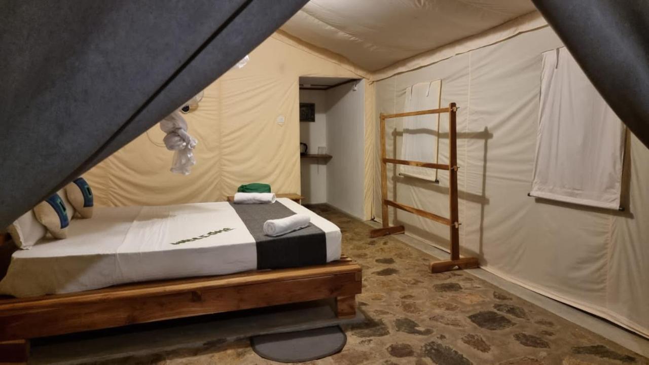 Jungle View River Camping اوداوالاوي المظهر الخارجي الصورة