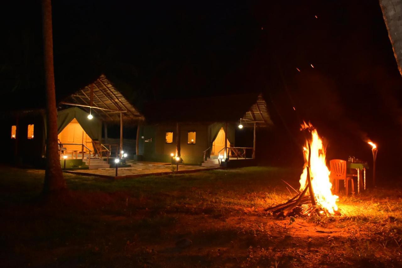 Jungle View River Camping اوداوالاوي المظهر الخارجي الصورة